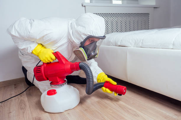 Pest Prevention Services in Burnham, PA