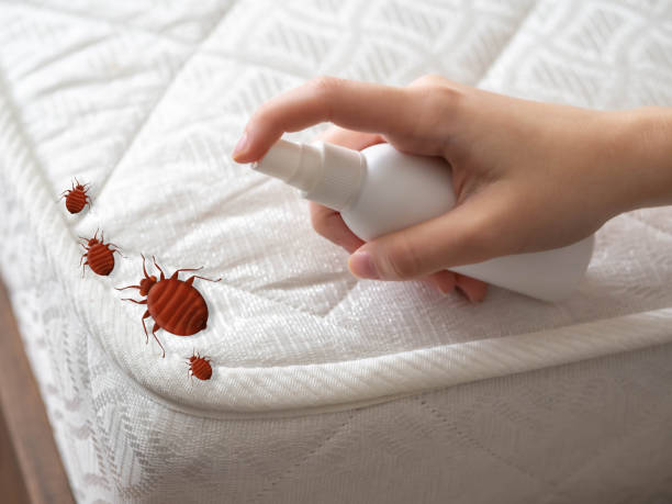 Best Ant Control Services  in Burnham, PA