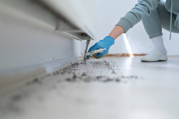 Best Cockroach Control Services  in Burnham, PA